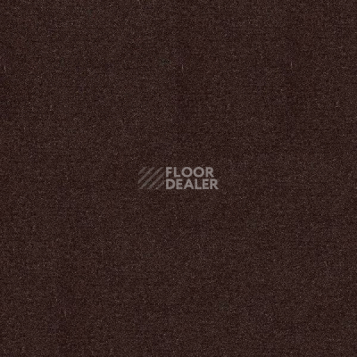 Ковролин Radici Abetone Espresso 4971 фото 1 | FLOORDEALER